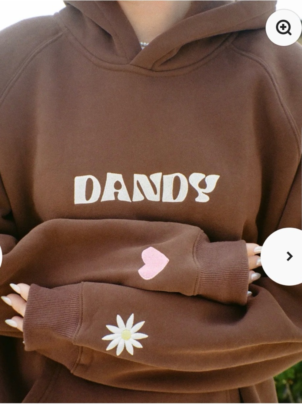 Dandy Southern California Brown Graphic Hoodie - Picture 2 of 6